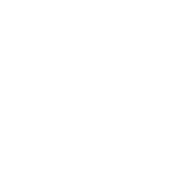 The Twitter logo
